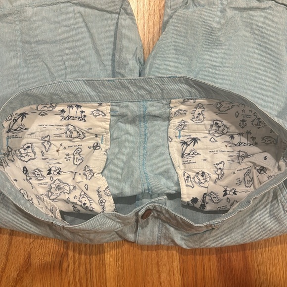 Tommy Bahama Linen Blue White Striped Shorts - Picture 4 of 7